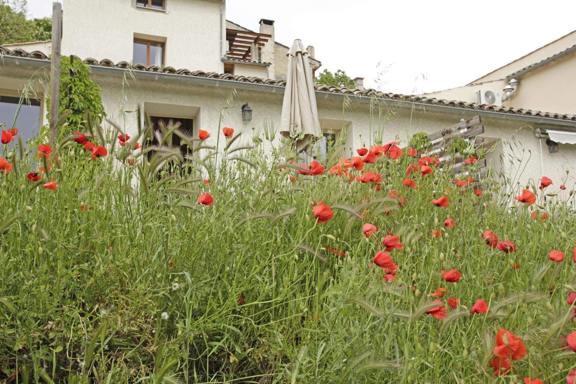 Hotel Les Anes De Forcalquier Habitación foto